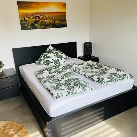 Modernes Apartment Am Waldrand Geisenheim Zewnętrze zdjęcie