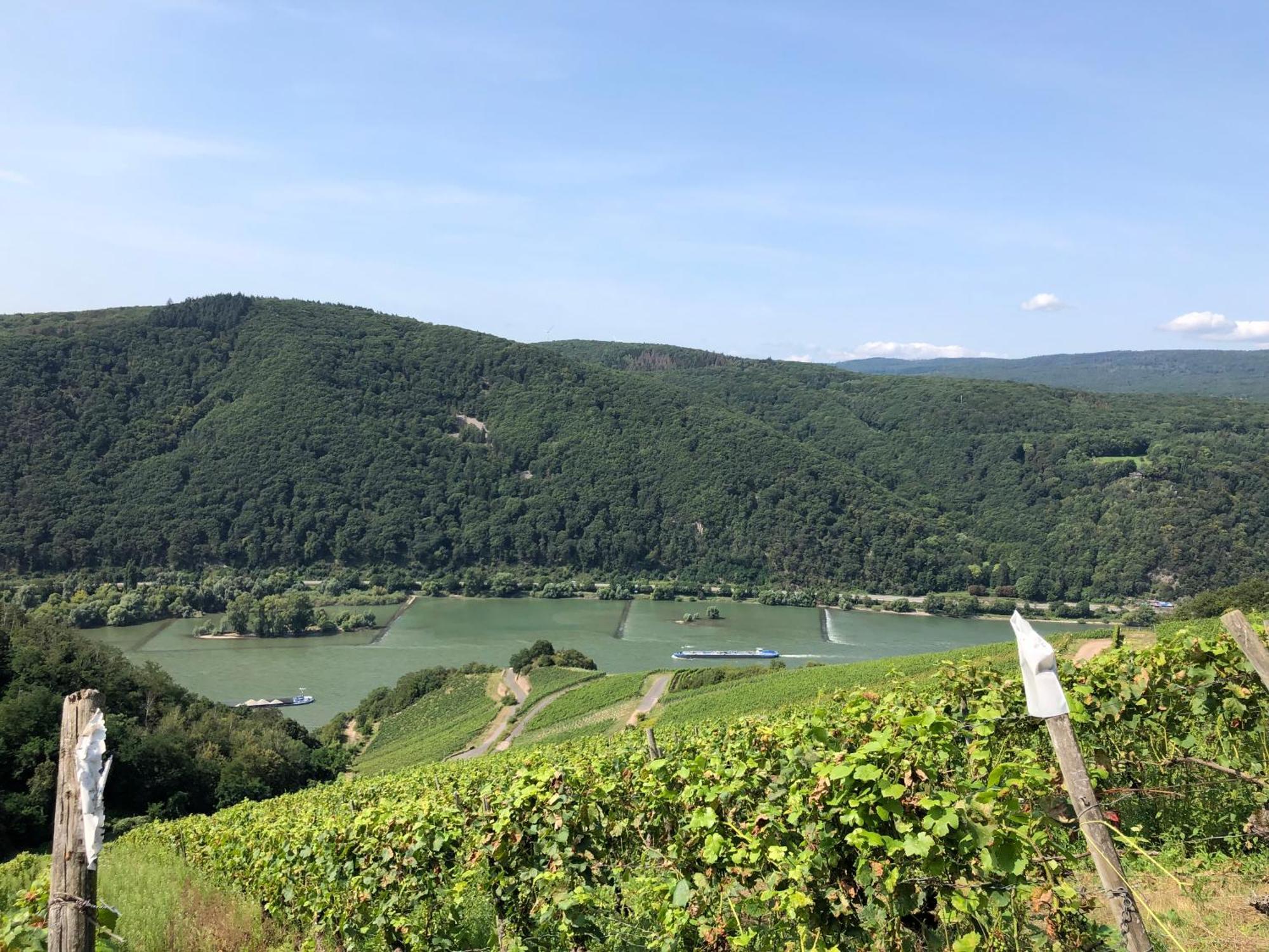 Apartment Modernes Am Waldrand Geisenheim