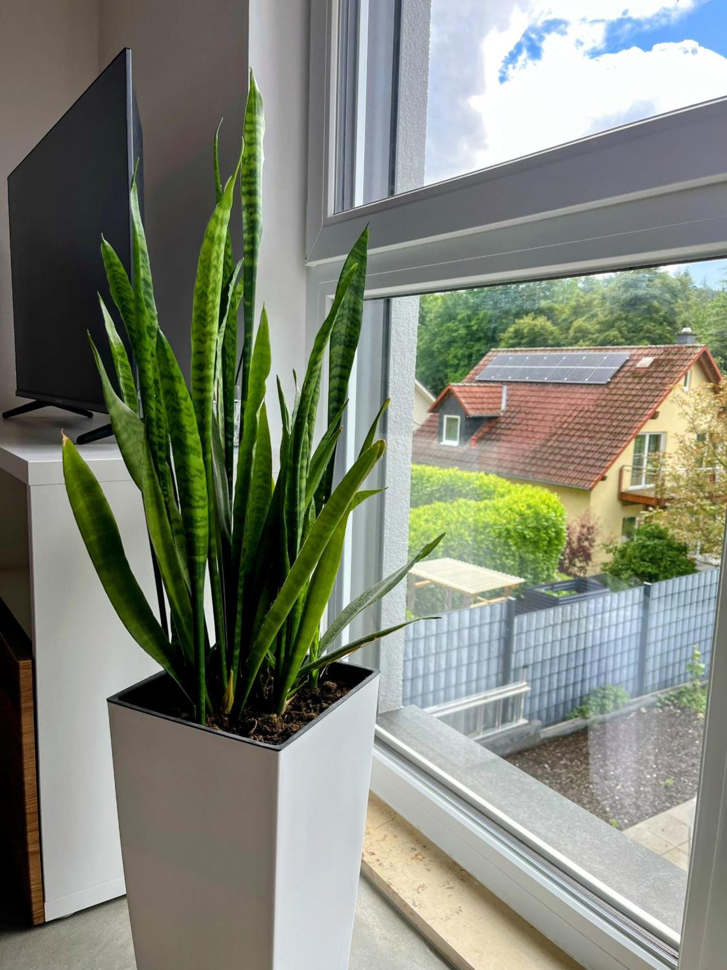 Modernes Am Waldrand Geisenheim